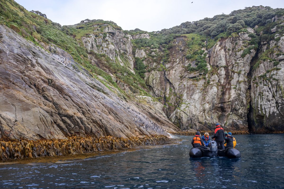 Stewart Island, The Snares & Fiordland