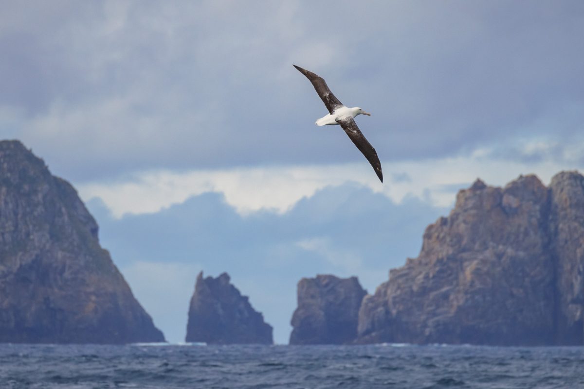 Stewart Island, The Snares & Fiordland