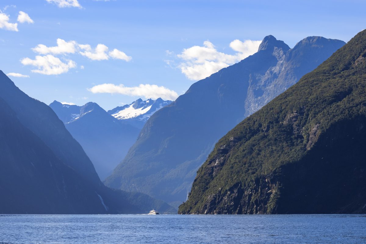 Stewart Island, The Snares & Fiordland