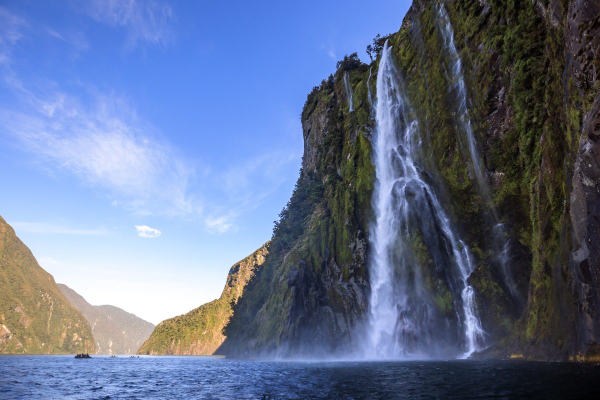 Stewart Island, The Snares & Fiordland