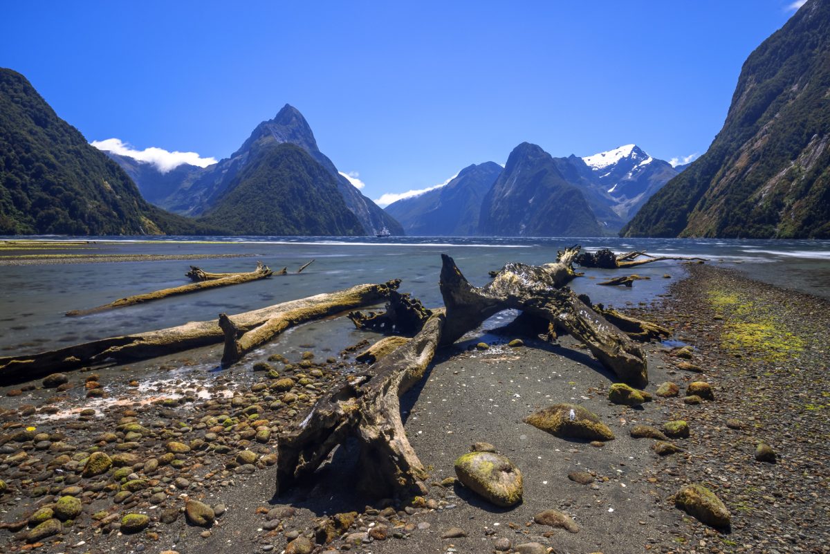 Stewart Island, The Snares & Fiordland