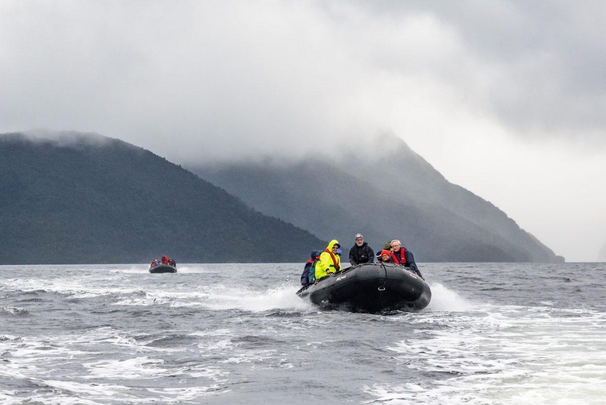 Stewart Island, The Snares & Fiordland