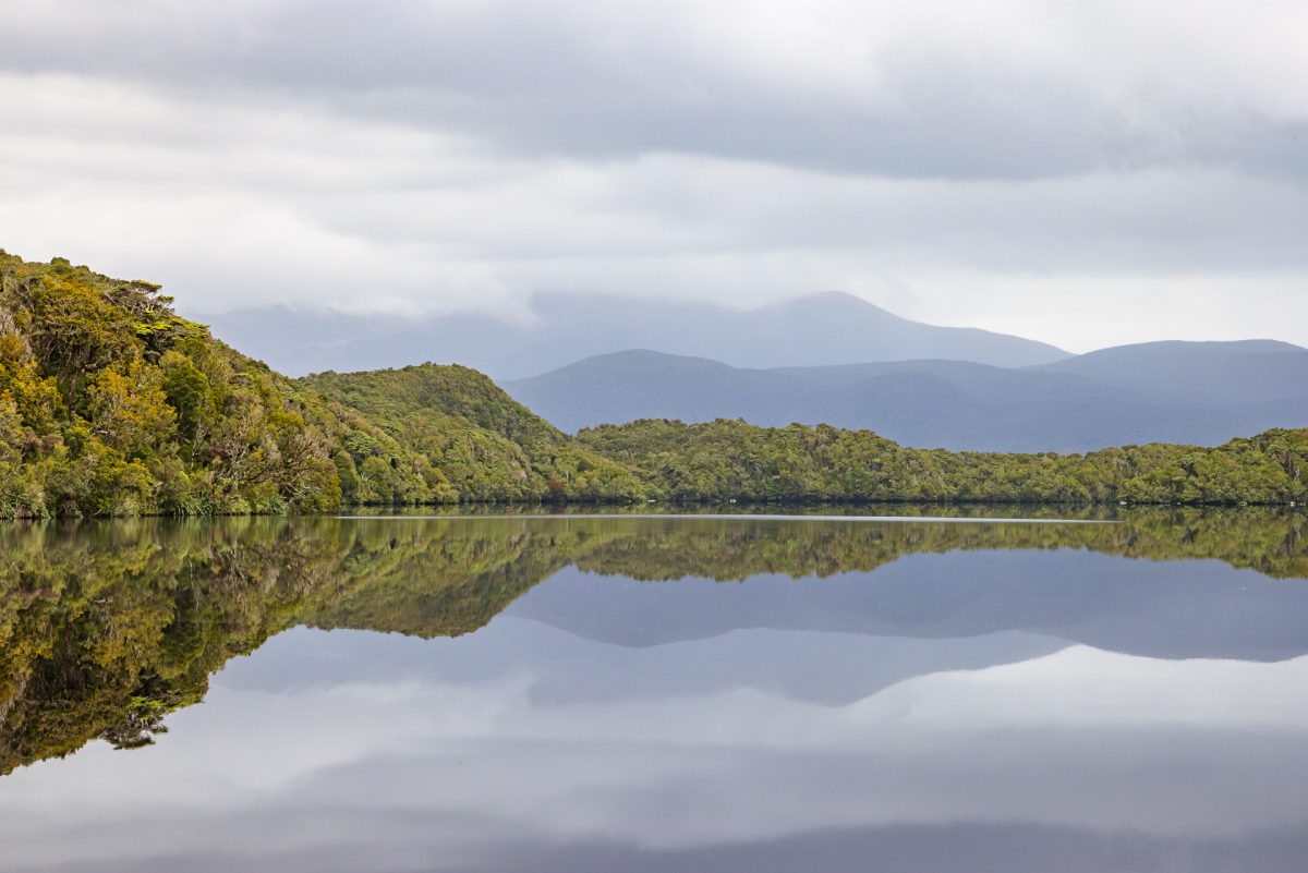 Stewart Island, The Snares & Fiordland