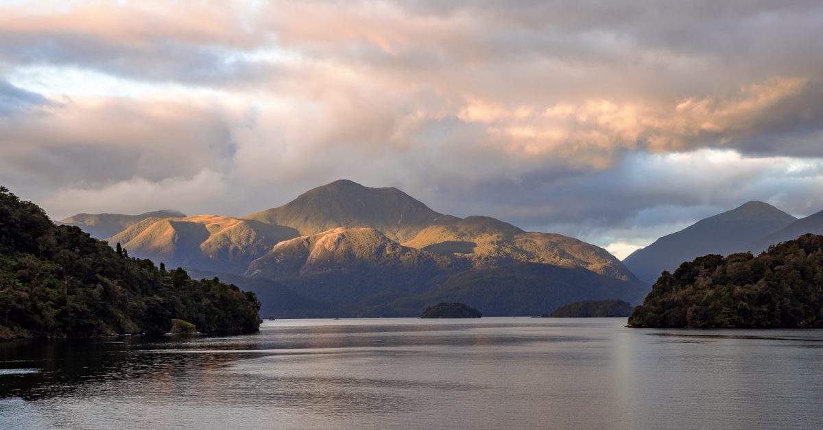 Stewart Island, The Snares & Fiordland