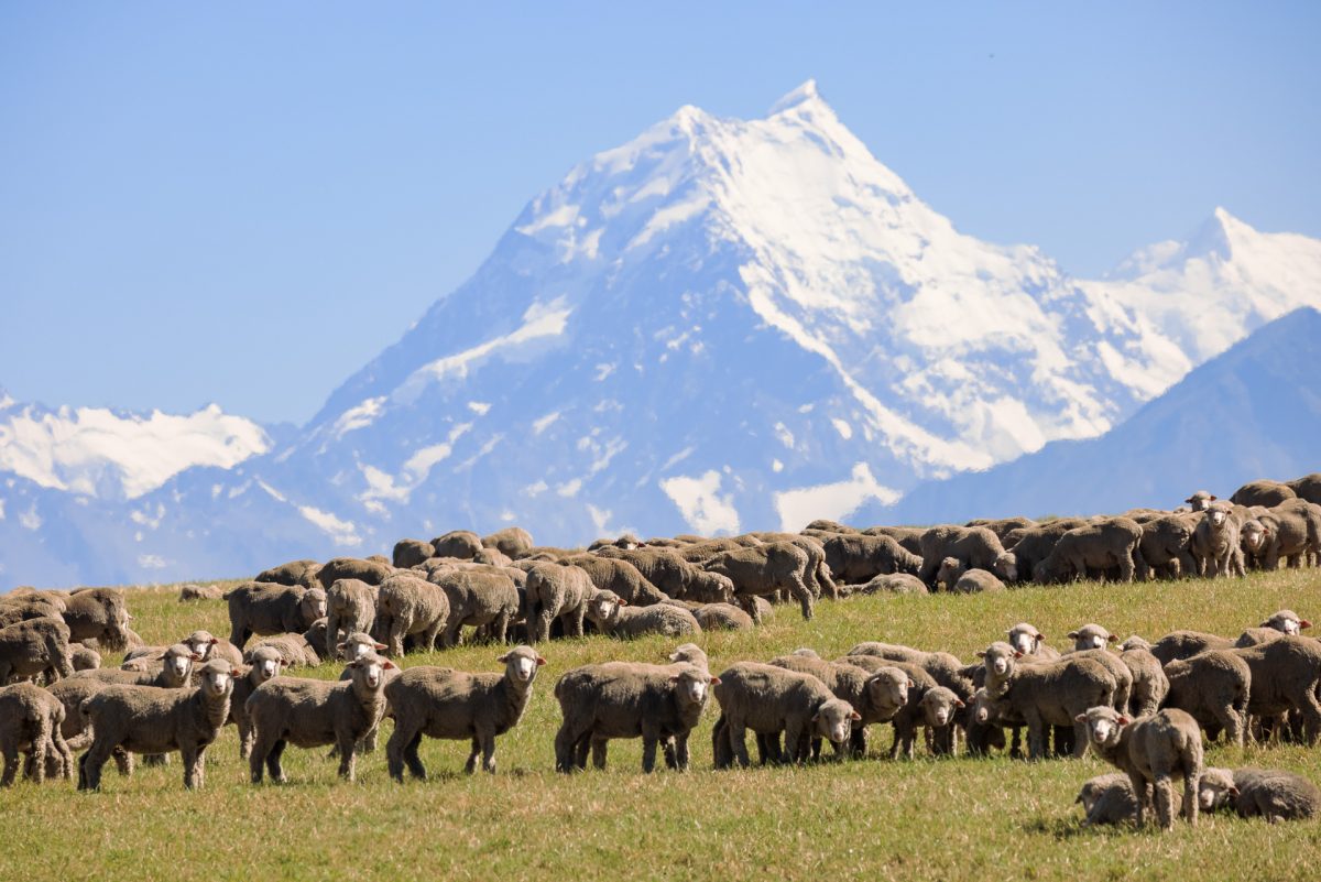 The Southern Alps, Rugged Mountains & Glacier Lakes