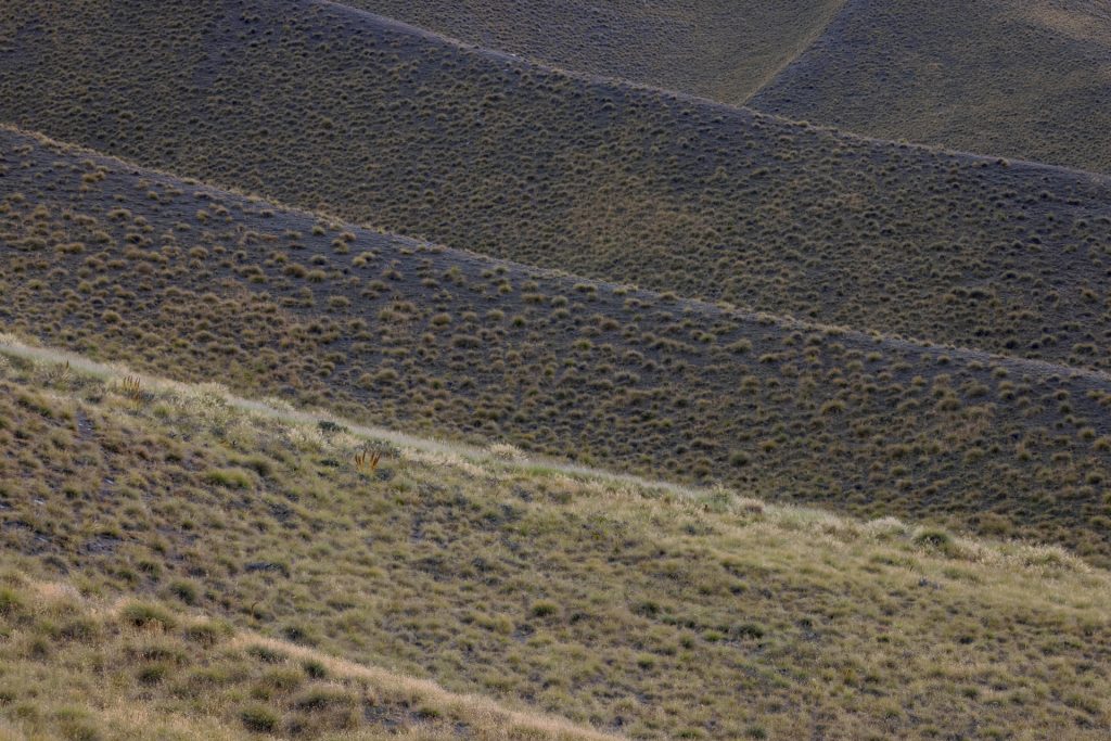 Tussock Grass Mountain Folds
