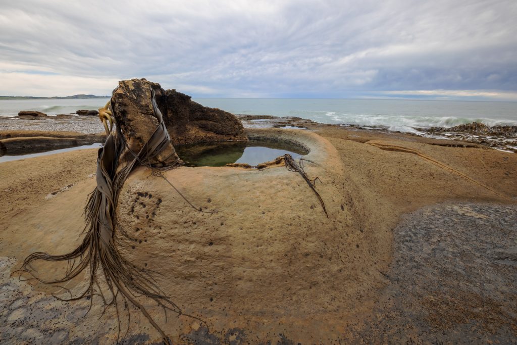 Katiki Boulder Rockpool, Shag Point