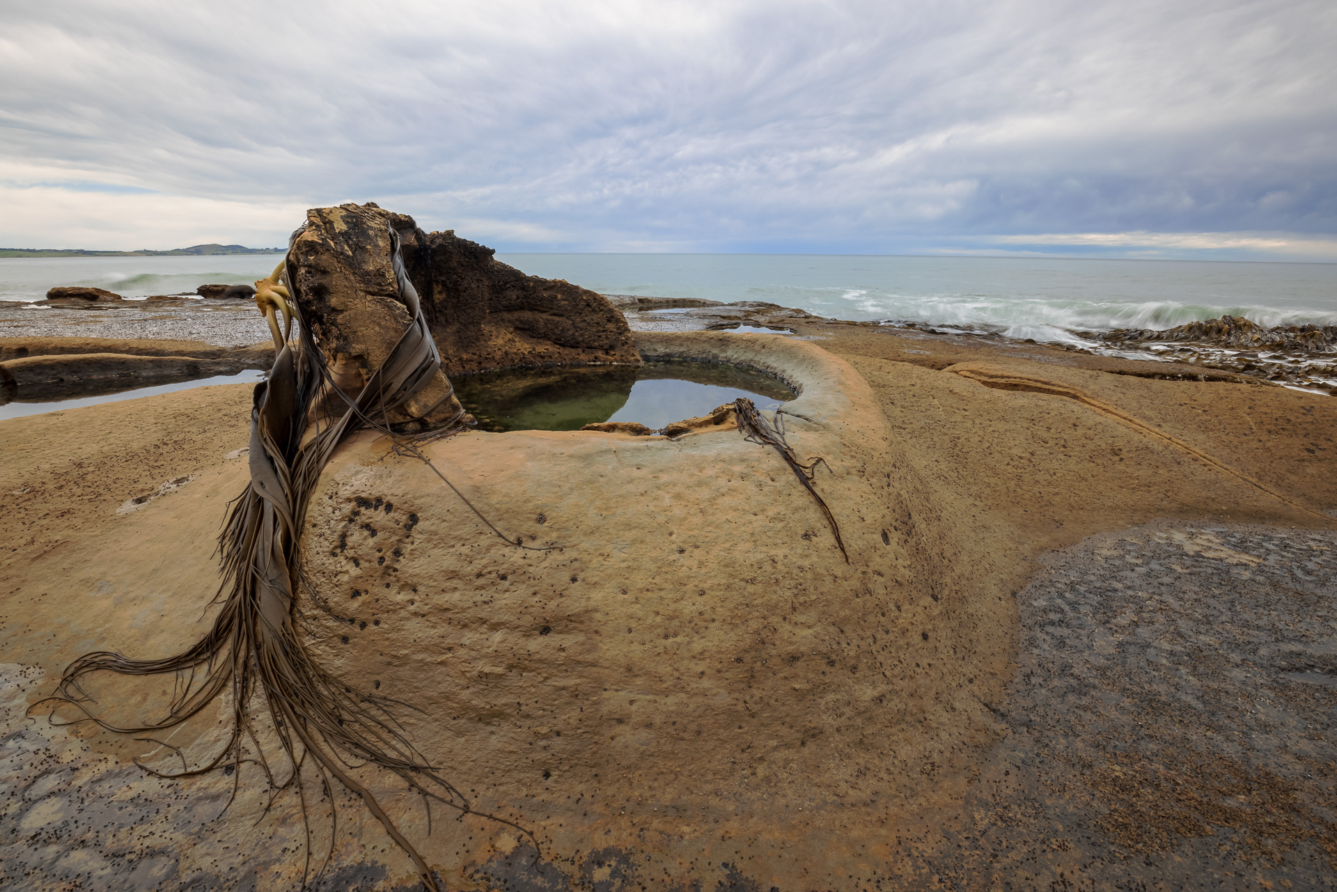 Katiki Boulder Rockpool, Shag Point