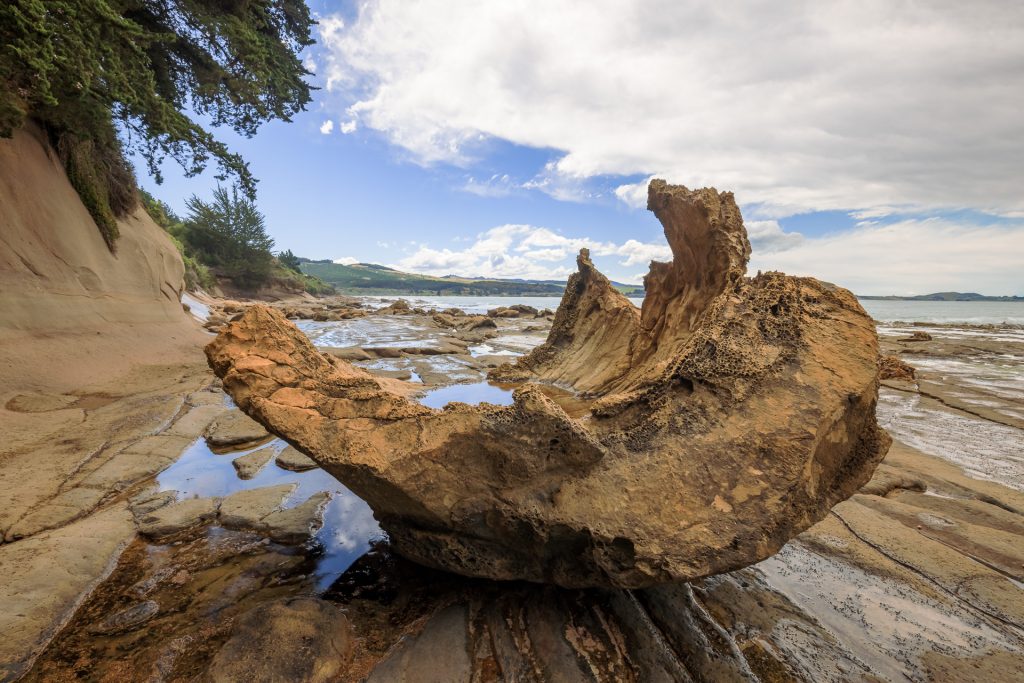 Katiki Boulder, Shag Point