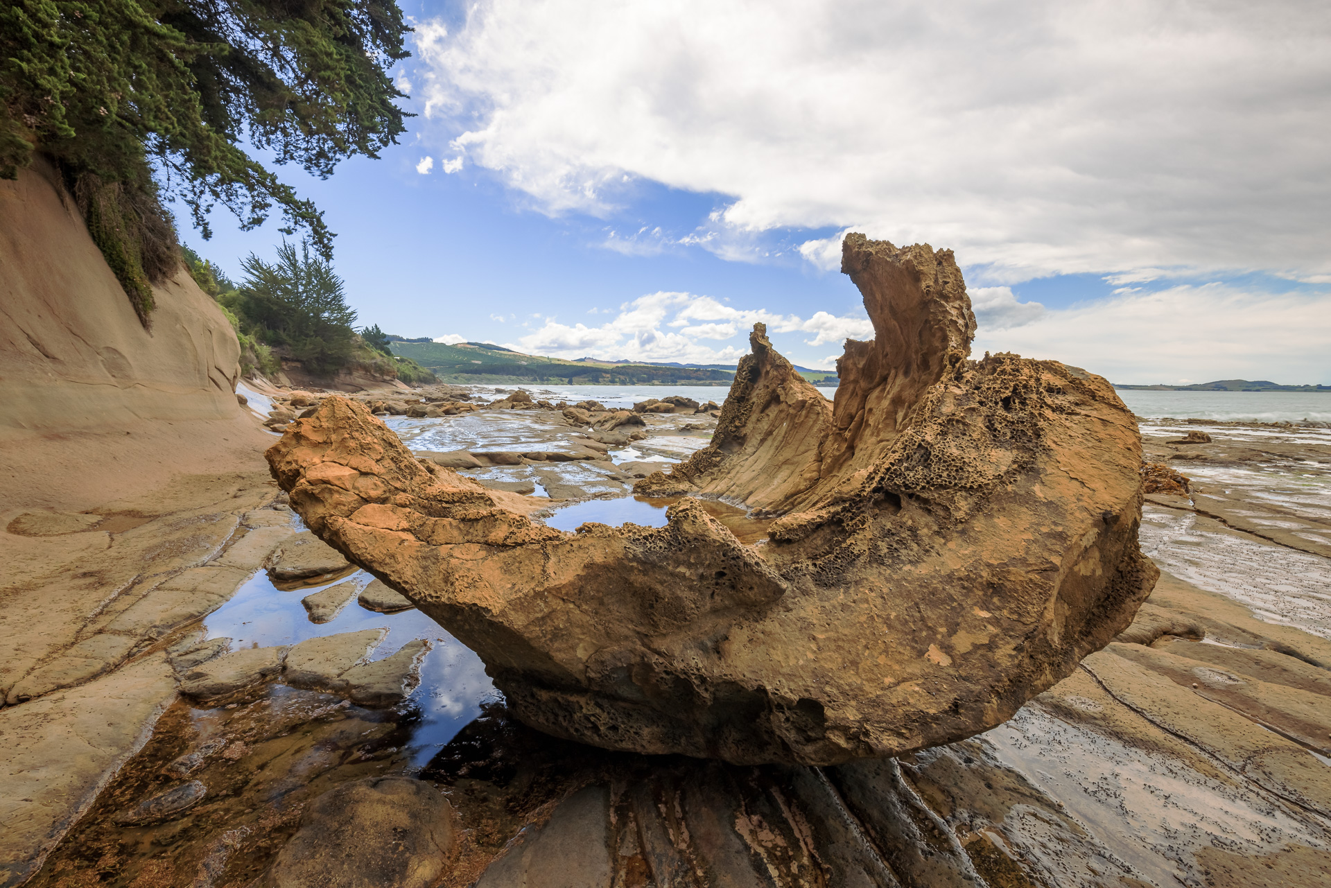Katiki Boulder, Shag Point
