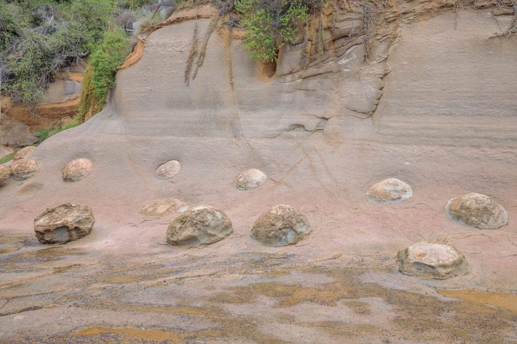Katiki Boulders Hatching From Cliff