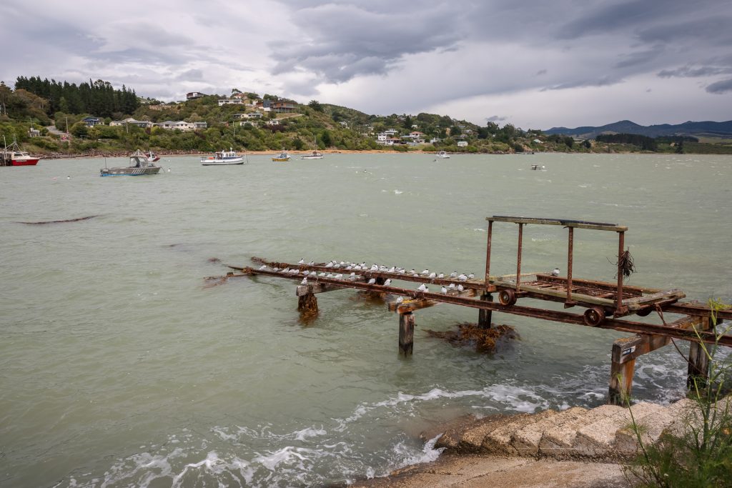 Moeraki Harbour