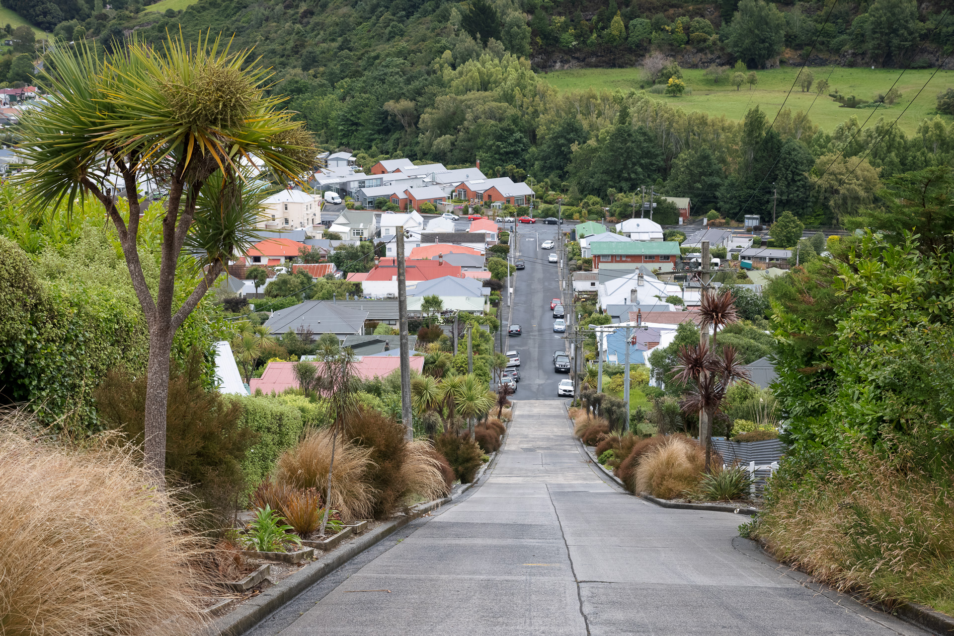 World's Steepest Street