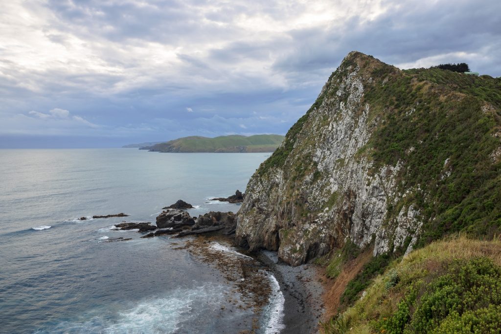 Sheer Cliffs in the Catlins