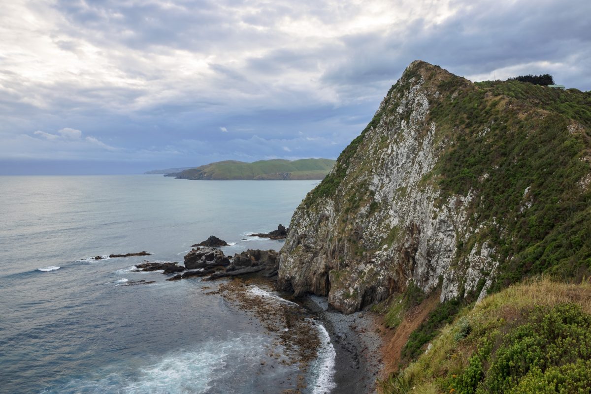 Sheer Cliffs in the Catlins