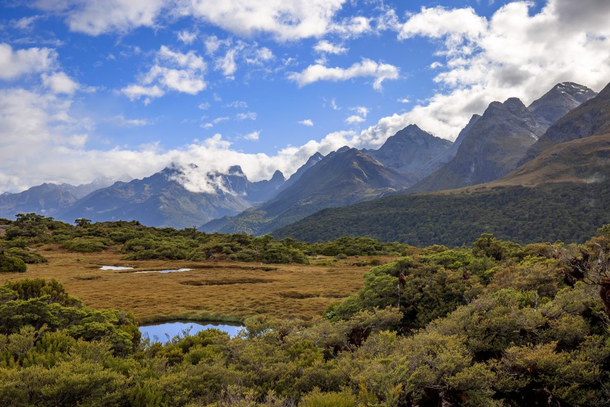 Exploring Fiordland and Mount Aspiring National Parks