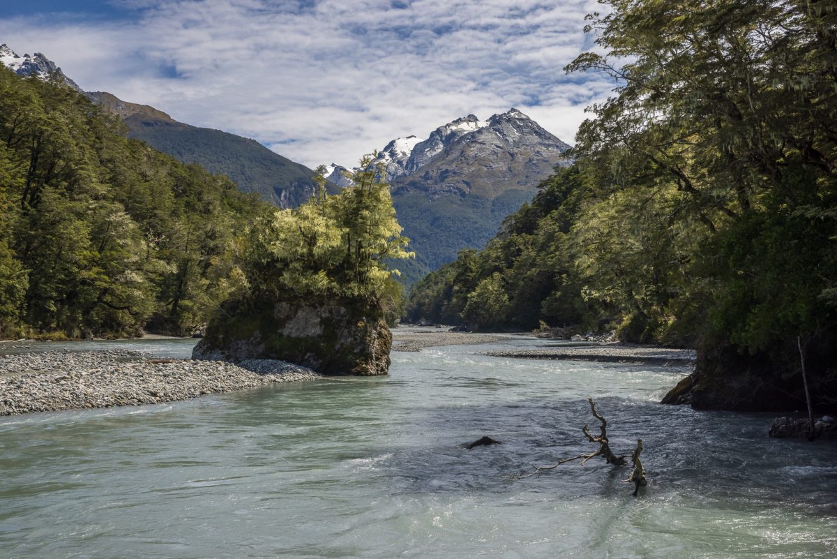 Exploring Fiordland and Mount Aspiring National Parks