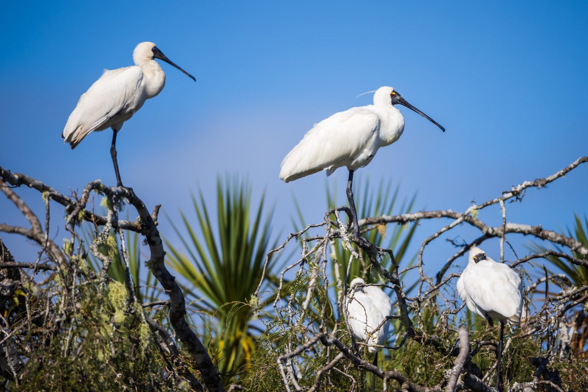 The West Coast – Okarito to Punakaiki