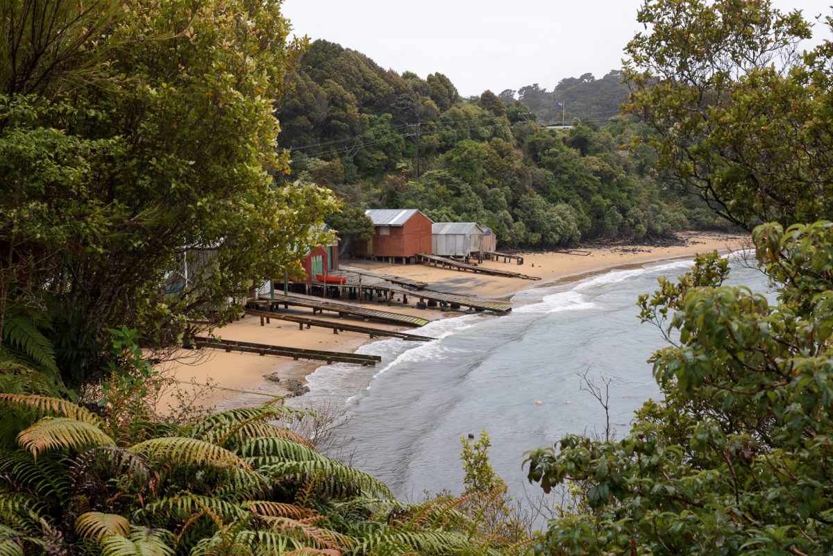 Stewart Island, The Snares & Fiordland
