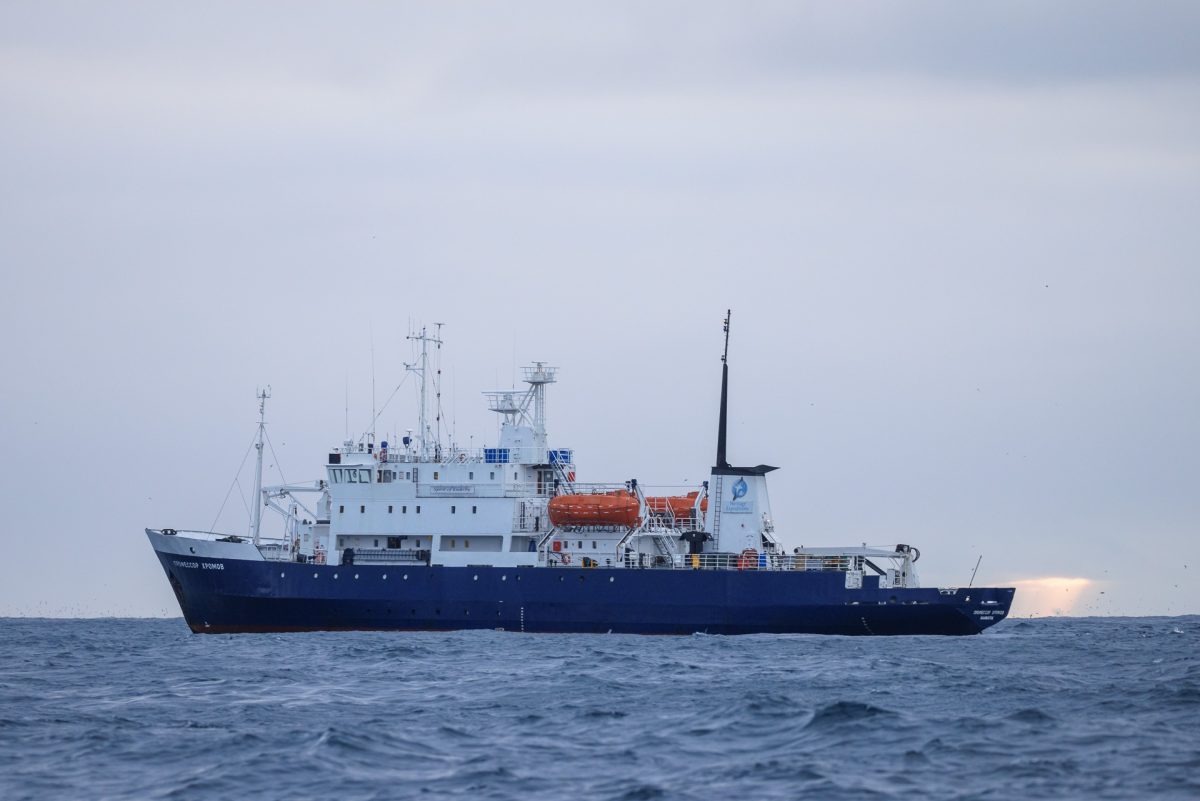 Stewart Island, The Snares & Fiordland