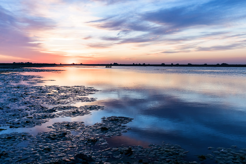 Sunrise Danube Delta