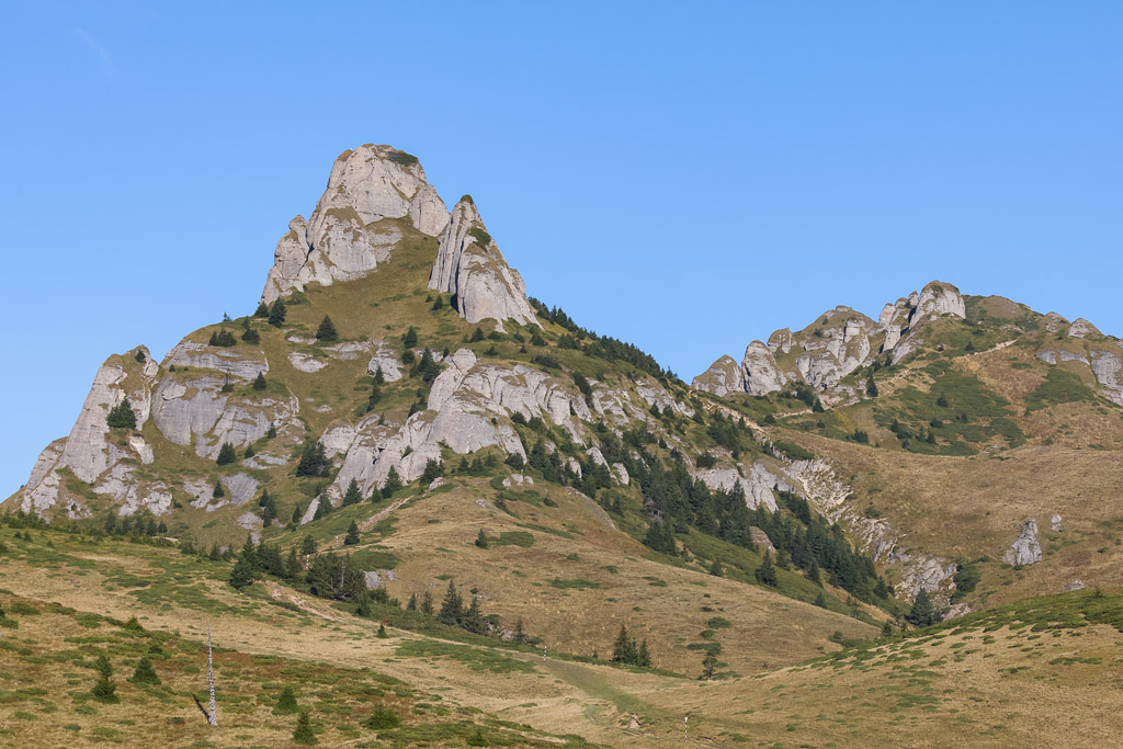 Meadow up to Ciucas Ridge