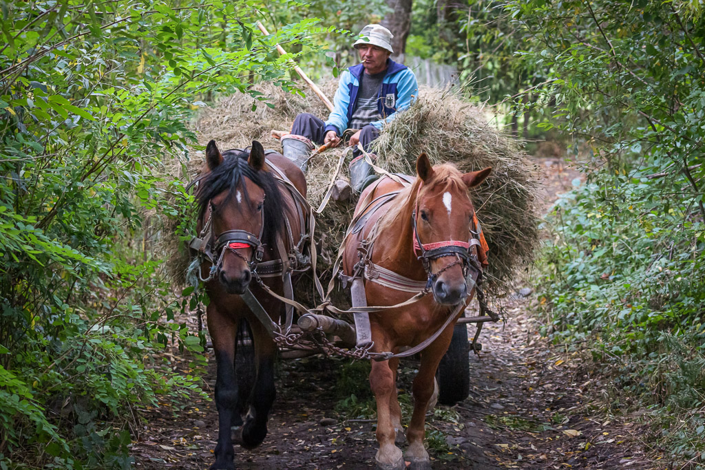 Maramures, Walking Back in Time