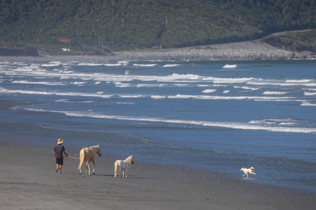 Barrytown Ponies on the beach