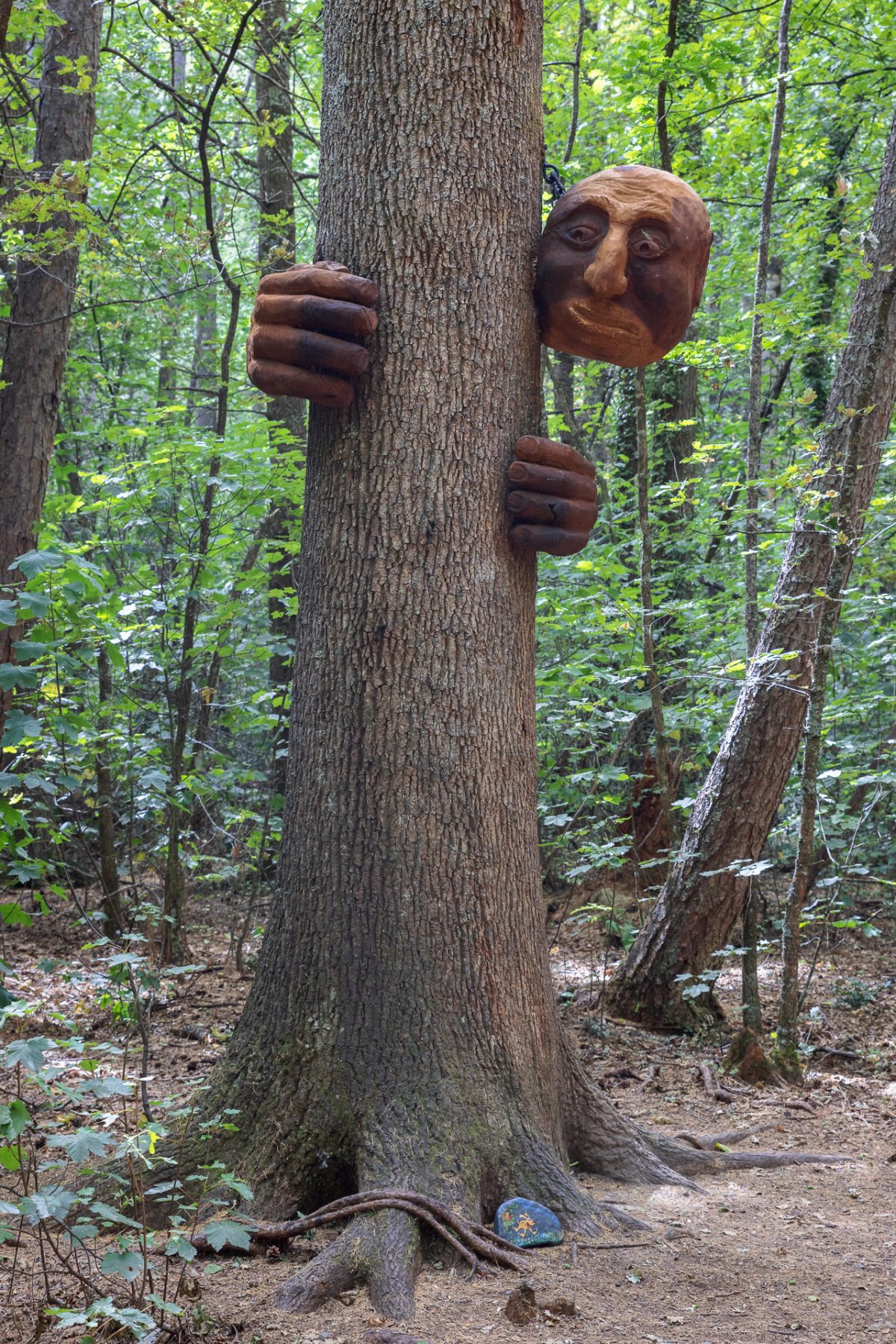 Marlborough and Kaikoura- A Circular Road Trip via the Old Stock Road