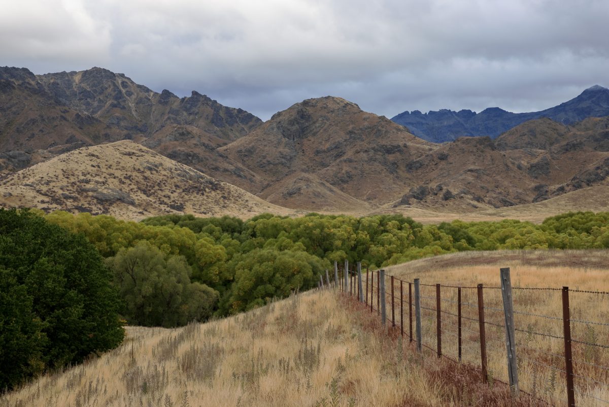 Marlborough and Kaikoura- A Circular Road Trip via the Old Stock Road