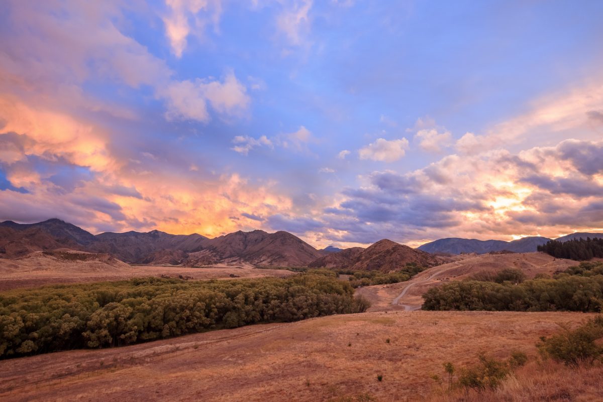 Marlborough and Kaikoura- A Circular Road Trip via the Old Stock Road